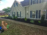 Broke Boy Lawn Care photo 3