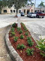 Forever Green Landscape Services photo 6