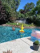 Tomao Platinum Pool Service & Repairs photo 6