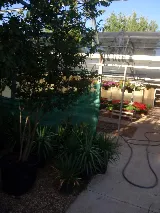 Paradise Lawn & Landscape photo 3