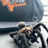 Big Jon's Pest Control photo 8
