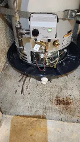 Renew Plumbing and Drains photo 8