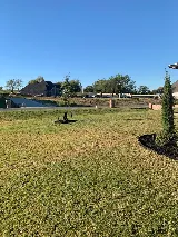 Proactive Landscaping photo 8