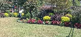 BNC Landscaping photo 5