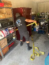 Blue Dog Moving photo 3