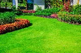 Jersey City Landscapers photo 8
