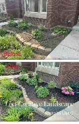 Lisa Creative Landscape LLC photo 2