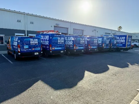 Blue Bear Total Home Services in Bradenton