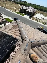 Dowd Solar Netting and Cleaning photo 4