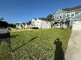 Lawn Reputation LLC photo 2