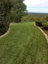 Affordable Lawn Care photo 4