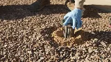 RAM Pest Management photo 7