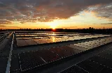 Sensa Solar USA photo 6