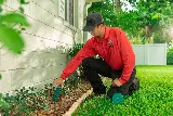 All U Need Pest Control photo 3