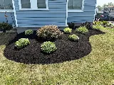 Alliance Landscapes
