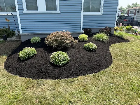 Alliance Landscapes in Buffalo