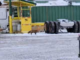 Lynden Transport photo 7