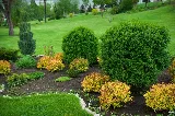 Landscaping Experts photo 3