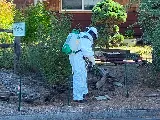 Aspen Pest Control Vancouver photo 3