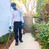 Moxie Pest Control photo 2
