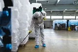 Pestech Pest Solutions photo 3