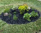 Kelly's Landscaping LTD photo 8