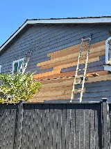 Tall Guy Painting - Delta House Painters photo 2