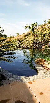 World Pools Inc photo 5