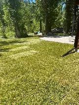 Greenup Lawn, Landscape, & Sprinklers photo 4