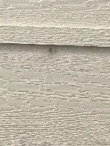 Romex Pest Control photo 7