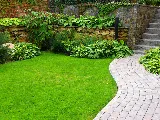 J & C Sod Farm Ltd photo 4