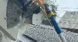 Insight Pest Control - Puyallup photo 5