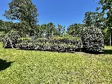 Southern Roots Lawn & Irrigation Services, LLC photo 2
