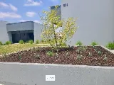 W BROTHERS LANDSCAPE, Inc. photo 3