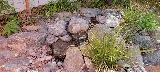 Greenbee Landscape, Inc. photo 4