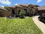 Betancourt Landscaping Service LLC photo 3