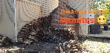 Guardian Preventative Termite & Pest Control photo 7