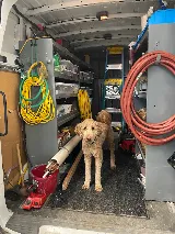 Ranger Plumbing & Heating, Inc. photo 3