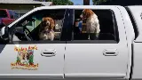Paisley Ann's Pest Management