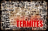 Oklahoma Termite Specialist, Inc.