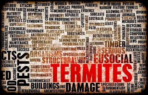 Oklahoma Termite Specialist, Inc. photo 1