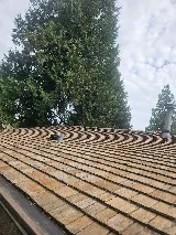 J J Roofing Services Ltd. photo 5