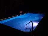 Lowry's Pool Service Plus photo 7