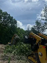 MYW Landscape and Excavation