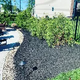 Premier Landscaping photo 3