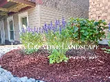Lisa Creative Landscape LLC photo 7