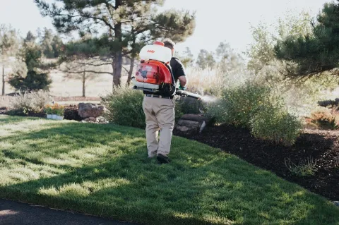 B.O.G. Pest Control in Annapolis