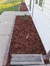 Smeags Lawncare and Landscaping photo 2