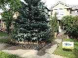 Alpine Vista Landscapes Inc. photo 7