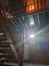 Pest Control Chicago photo 7